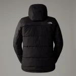 Men's Circular Synthetic Hooded Jacket